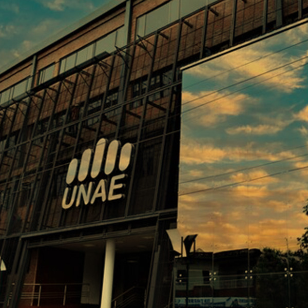 destadados_conciertos_paraguay